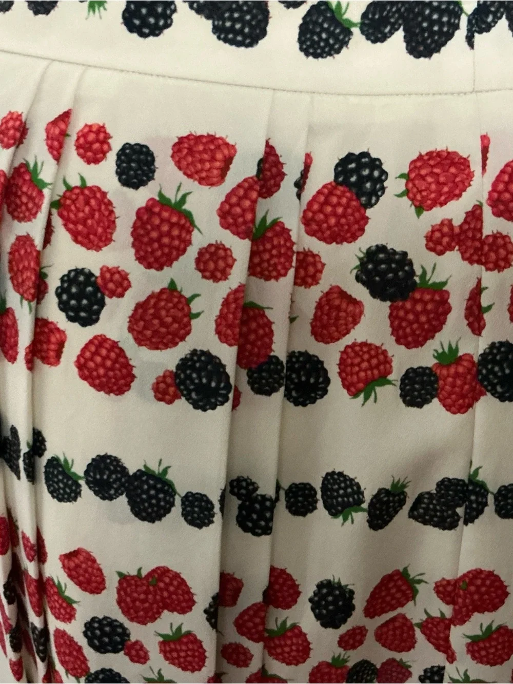J. CREW CreamPleated Skirt with Red and Black Berry Stripe Print